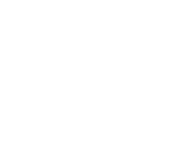 Les Turner ALS Foundation