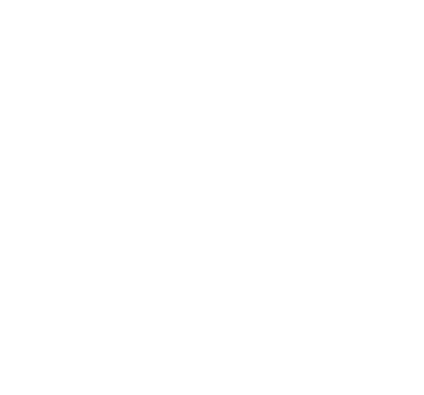 Les Turner ALS Foundation